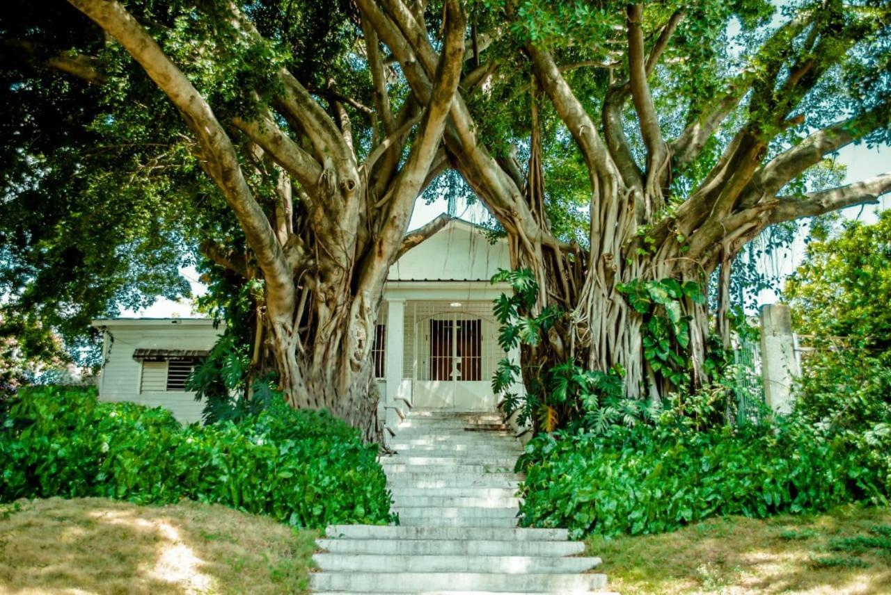 Villa Carolina Bed And Breakfast Puerto Plata Extérieur photo