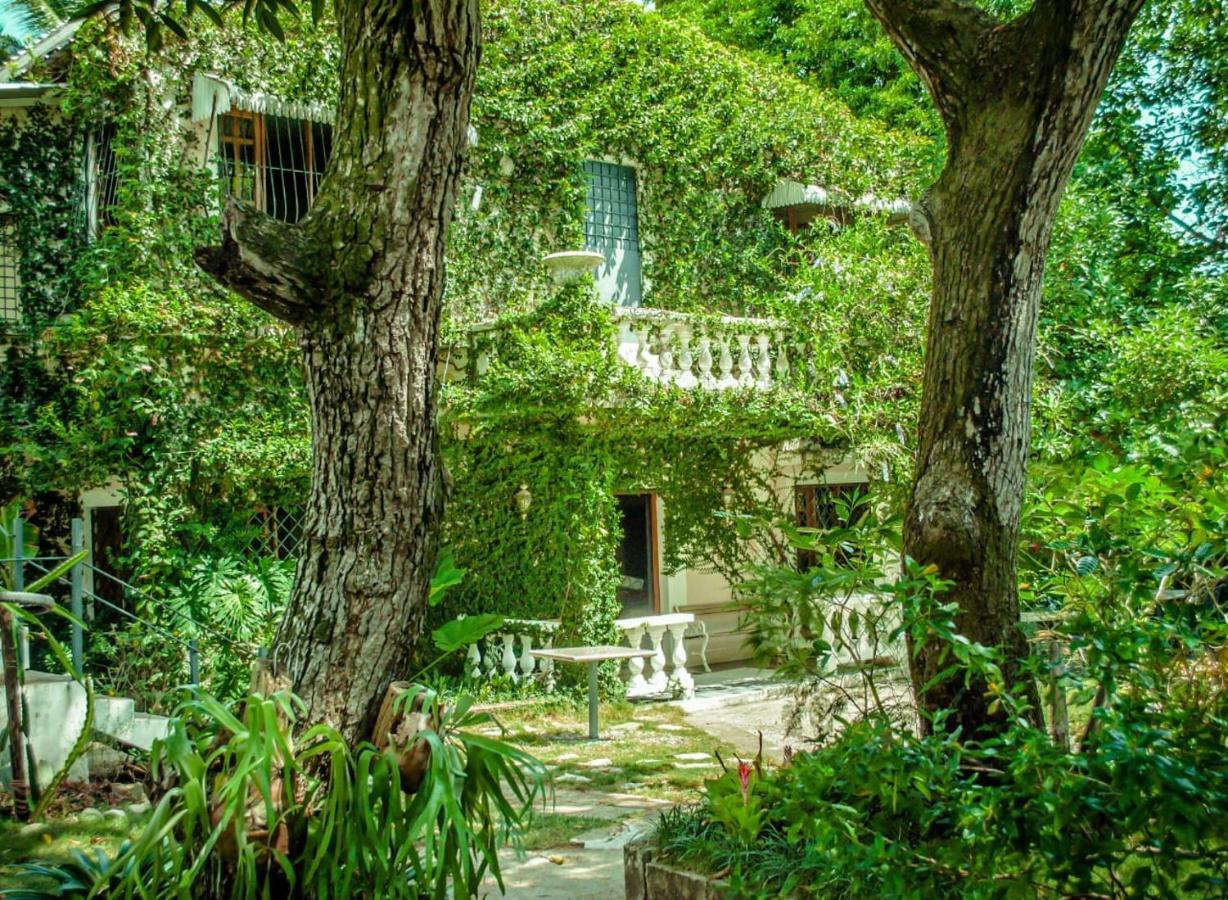 Villa Carolina Bed And Breakfast Puerto Plata Extérieur photo